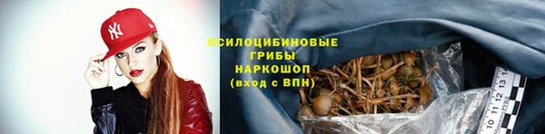 ГАЛЛЮЦИНОГЕННЫЕ ГРИБЫ Алексеевка