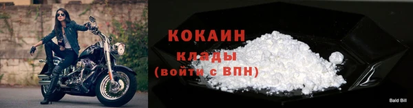 тгк Абаза