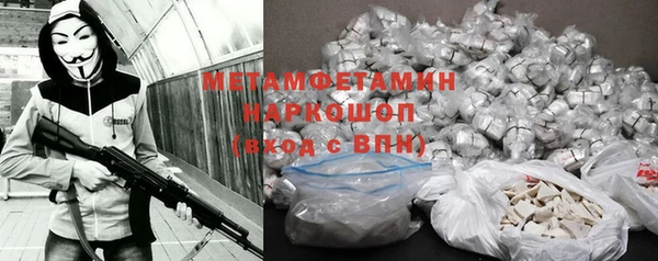 прущие грибы Абинск