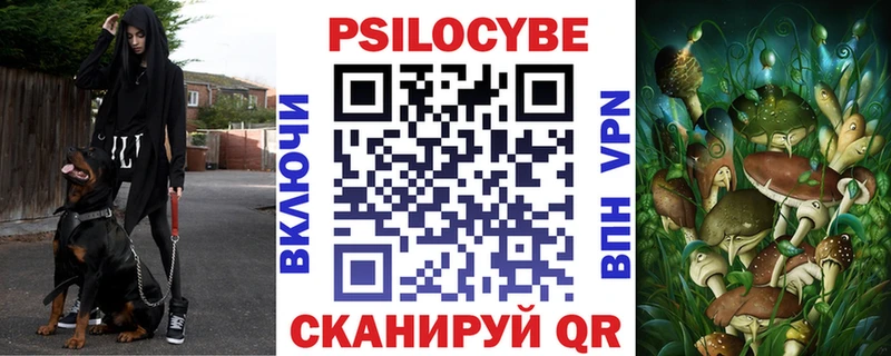 Псилоцибиновые грибы Cubensis  OMG как войти  Тюмень 